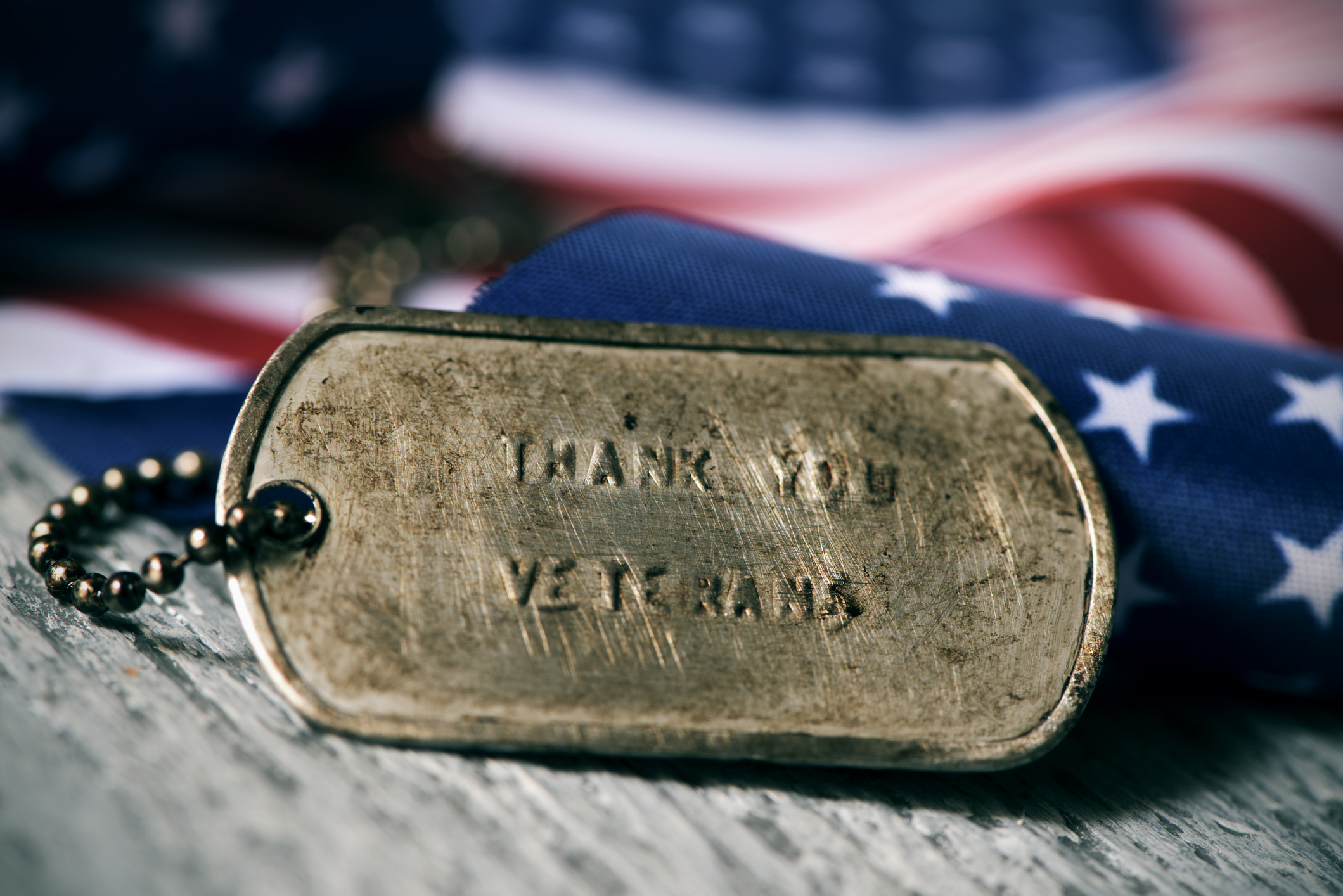 text thank you veterans in a dog tag